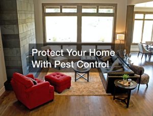 home pest control